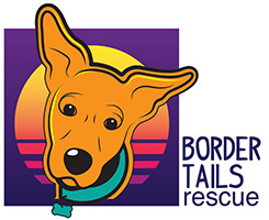 Feature Image for Border Tails Rescue