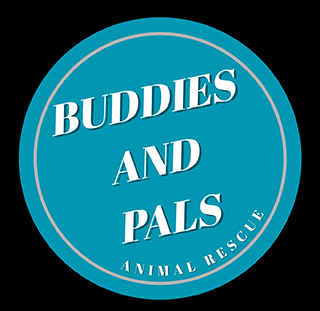 Feature Image for Buddies and Pals Animal Rescue 