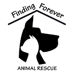 Feature Image for Finding Forever Animal Rescue