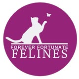 Feature Image for Forever Fortunate Felines
