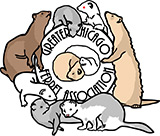 Feature Image for Greater Chicago Ferret Association