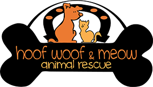 Feature Image for Hoof Woof & Meow Animal Rescue