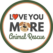 Feature Image for Love You More Animal Rescue