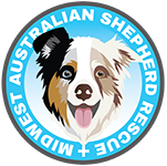 Feature Image for Midwest Australian Shepherd Rescue