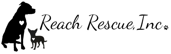 Feature Image for Reach Rescue, Inc