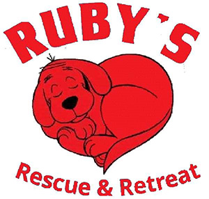 Feature Image for Ruby's Rescue & Retreat, Inc.