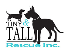 Feature Image for Tiny N Tall Rescue
