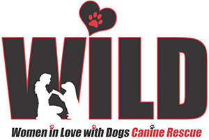 Feature Image for WILD Canine Rescue