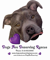Feature Image for Dogs are Deserving Rescue