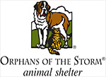 Feature Image for Orphans of the Storm
