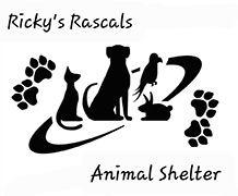 Feature Image for Ricky's Rascals Animal Rescue NFP