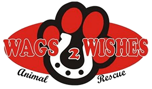 Feature Image for Wags 2 Wishes Animal Rescue, Inc.