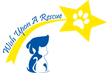 Feature Image for Wish Upon a Rescue